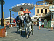 Foto Kreta - Heraklion