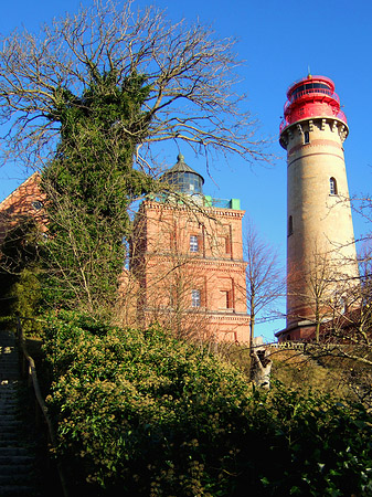 Foto Bäume - 