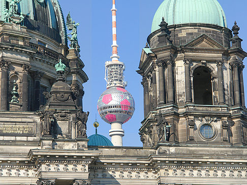 Berliner Dom mit Fernsehturm Foto 