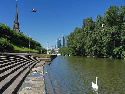 Dreikoenigskirche mit Main Foto 
