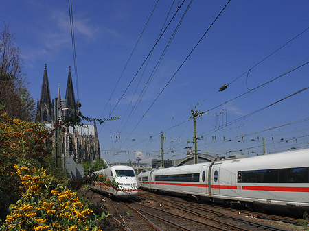 Kölner Dom mit ICE Foto 