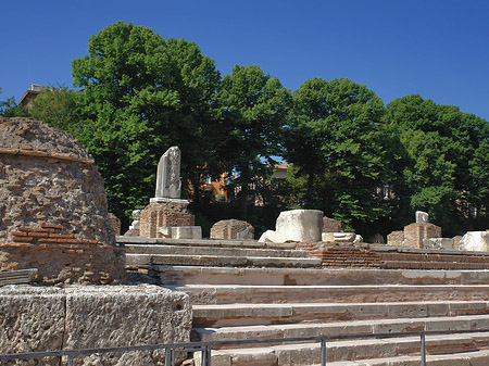Bäume im Forum Romanum Foto 