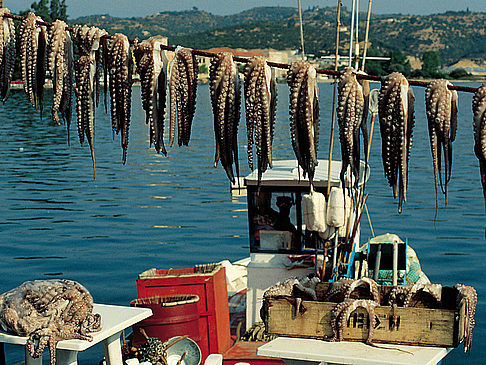 Griechische Küche Foto Attraktion  