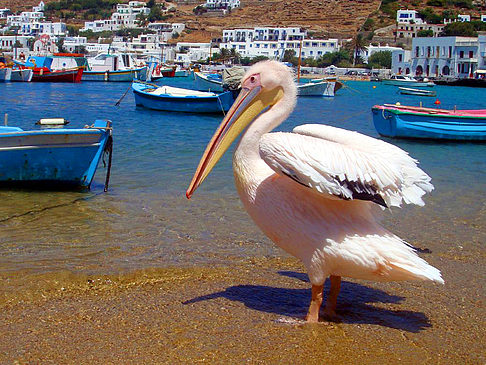 Mykonos Fotos