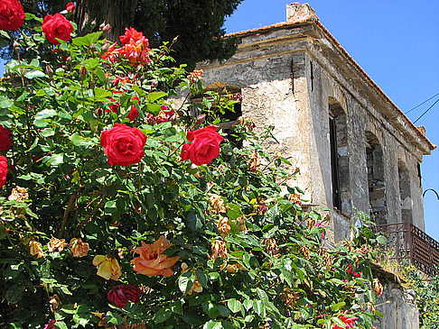 Agios Kirikos Fotos