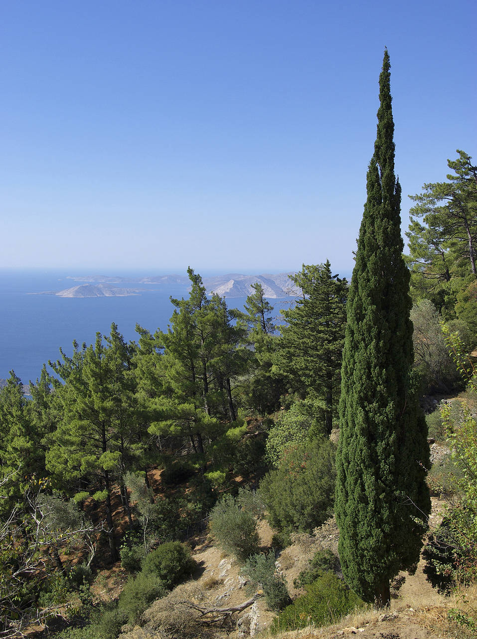 Samos Fotos