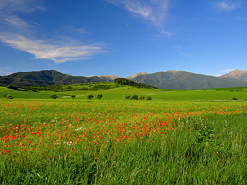 Rhodos