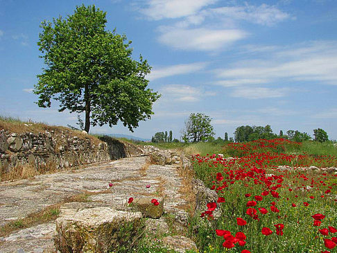 Katerini - Athen (Kateríni)