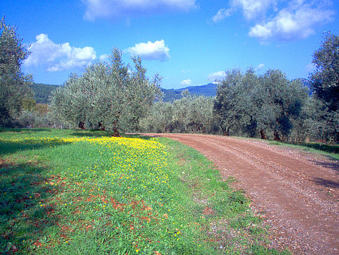 Euböa - Athen (Erétria)